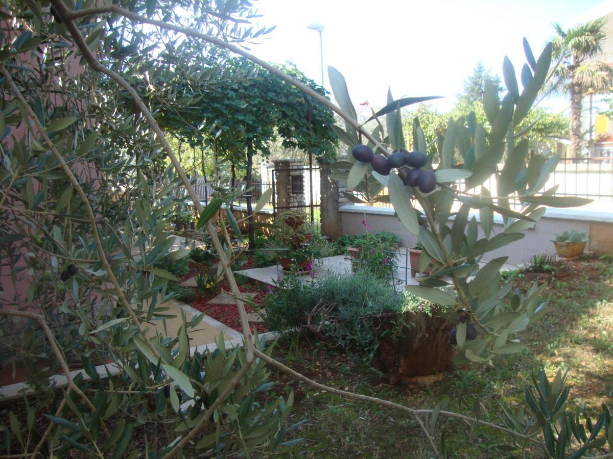 Comfortable Apartments In Peroj Near The Sea المظهر الخارجي الصورة